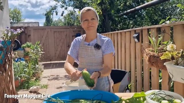 МАРУСЯ МАТЕРИТСЯ? Так пахнет август/Рецепт засолки огурцов 8 августа 2023 Udmurtia смотреть онлайн