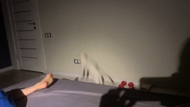 13 сентября 2023 г. смотреть онлайн