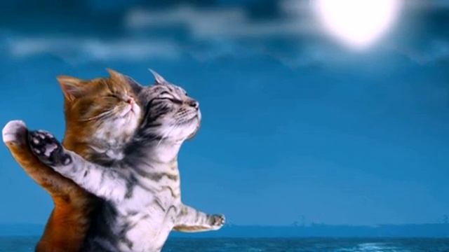 Я всегда буду любить тебя... смотреть онлайн