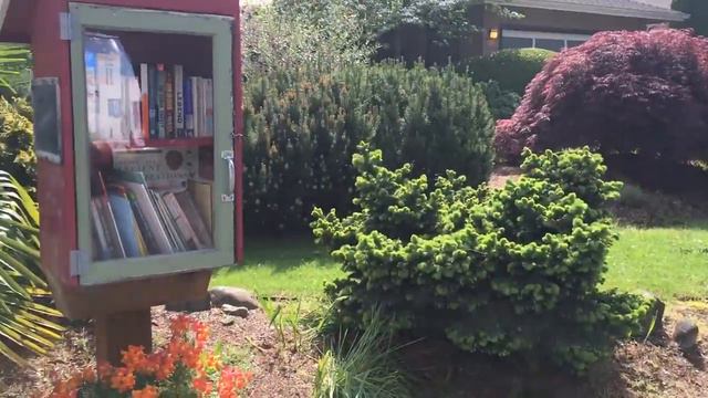 США. Little Free Library, Bellevue, Washington. Маленькая бесплатная библиотека в штате Вашингтон. смотреть онлайн