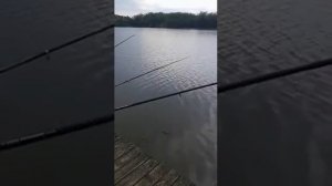 Рыбалка ст. Пластуновская Краснодарский край