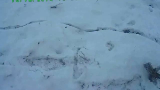 Мои находки 15 декабря 2015 смотреть онлайн