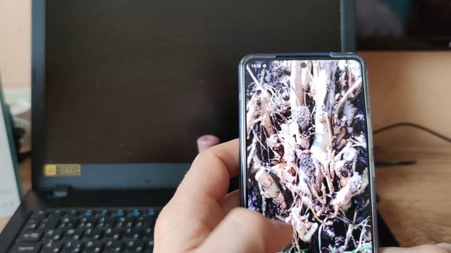 Обзор камеры Vivo IQOO 7 в сравнении с Xiaomi Mi 10T Pro смотреть онлайн