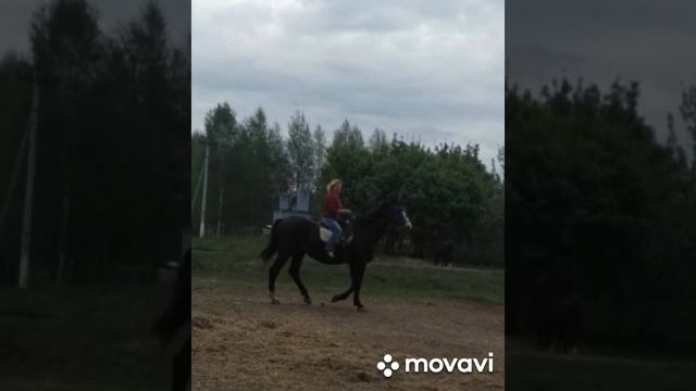 Тры сястры смотреть онлайн