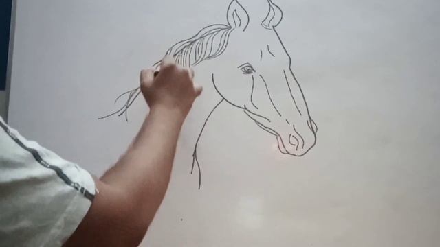 how to draw the face of a horse. simple sketch.sam's _ Art's 23. смотреть онлайн