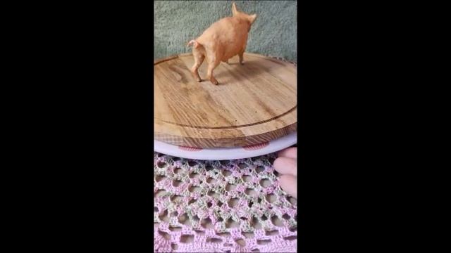 Кабан+ Свинка смотреть онлайн