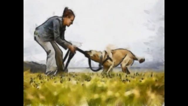 Психология отношений Как отличить влюбленность от истинной любви Медитация Созидающая сила любви. смотреть онлайн