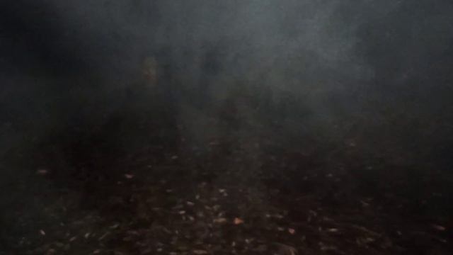 Ночная рыбалка на налима на Реке Клязьма #Рыбалка в приятной компании возле костра. смотреть онлайн