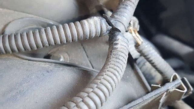 RENAULT D1234F Engine Torque Multiplexed Information.