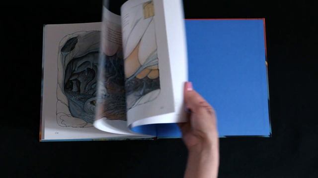 Анатомия человека для детей, книги и пособия. смотреть онлайн