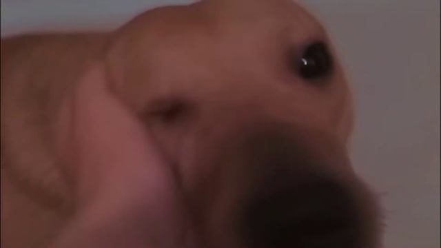 Меня помыли?! (боюсь воды?!,что-то случилось???) смотреть онлайн