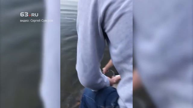 В парке Металлургов поймали карпа смотреть онлайн