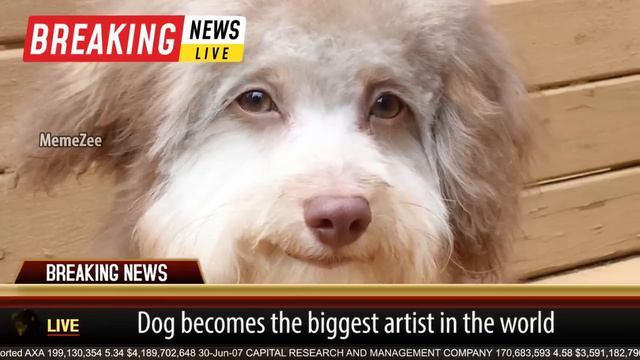This Dog is Messed Up Bruh смотреть онлайн