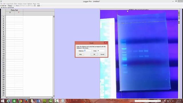 Logger Pro 3 Gel Analysis смотреть онлайн