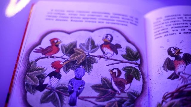 Читаем сказки. Поцелуй для храброго Честера смотреть онлайн