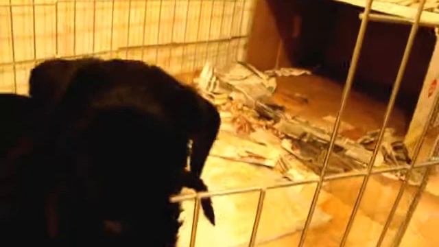 5 утра, веселье в разгаре смотреть онлайн