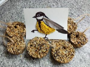 ЭКО кормушка для птиц Печенье Мастер класс
