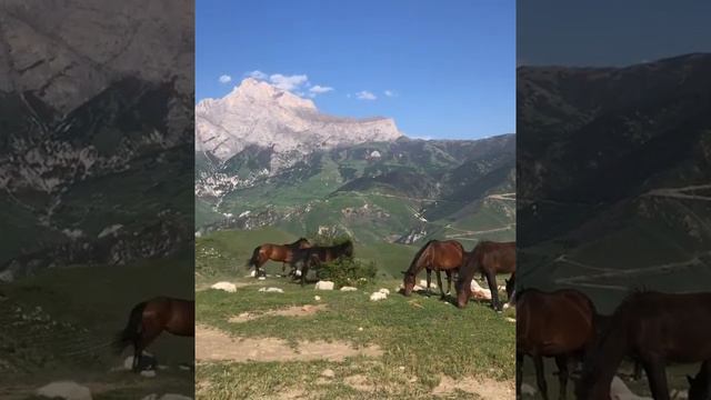 Горный Кавказ смотреть онлайн