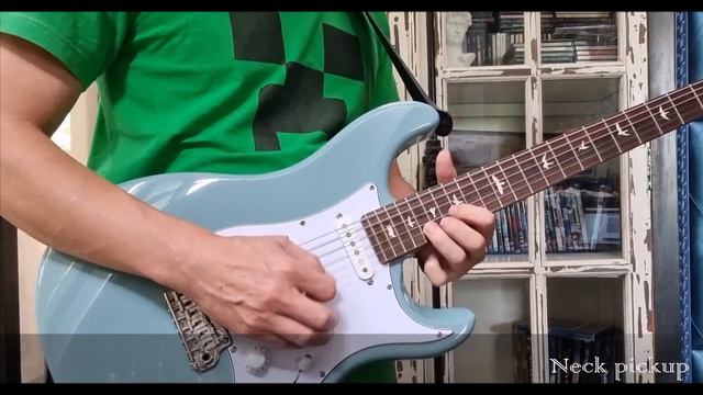 Fender Custom Shop Vs PRS SE Silver Sky