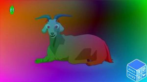 El Pollito Pio enhanced with DMA