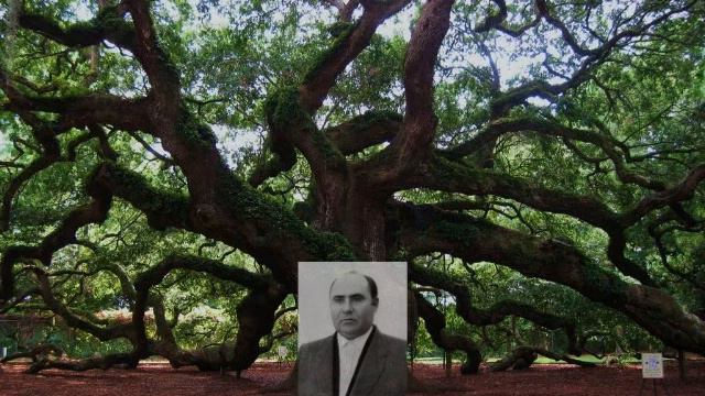 в ввц всасд рд под обычным дубом святилище и святое место