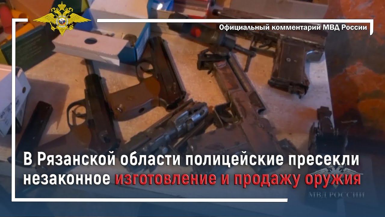 Ирина Волк: В Рязанской области полицейские пресекли незаконное изготовление и продажу оружия смотреть онлайн