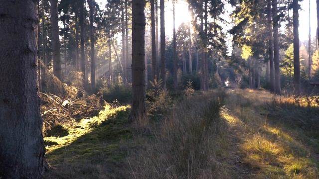 Кратко о сподвижнике Абу Саид аль-Худри | Шейх Абу Яхья смотреть онлайн