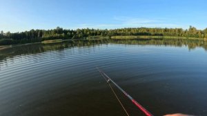 БЕШЕННЫЙ КЛЕВ НА KUUSAMO PROFESSOR . ЛУЧШАЯ БЛЕСНА НА ЩУКУ!