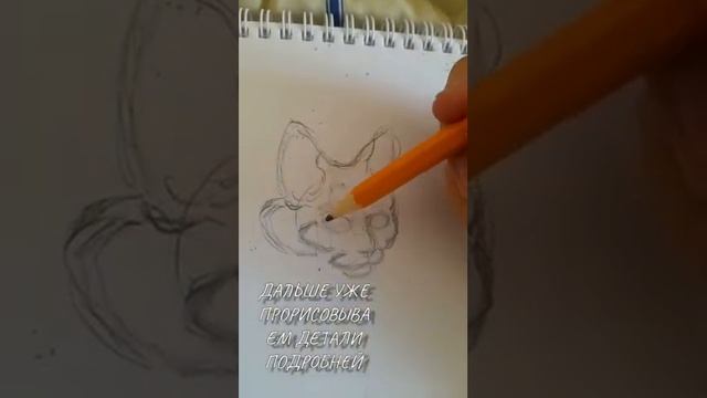 Как легко нарисовать кота смотреть онлайн