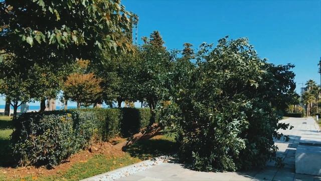 Georgia Batumi. Осенний Батуми. Как ловят рыбу в Грузии . смотреть онлайн