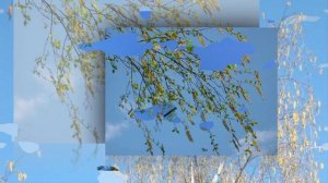 Весна пора любви! Очень красивая песня про весну и про любовь!