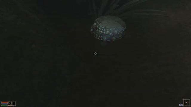 Morrowind - Super Soluce - Guild of Mages - Balmora - 1.Mushrooms смотреть онлайн