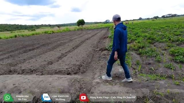 Hùng Kaka II Khoảnh Khắc Hạnh Phúc Nhất Của Anh Em Nông Trại смотреть онлайн