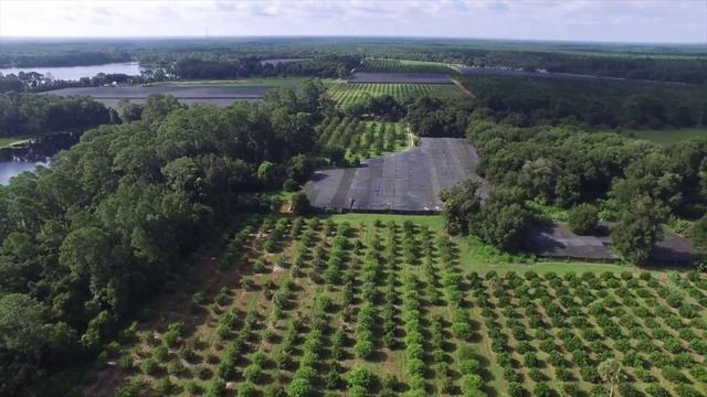 Pierson Lakefront Home and Acreage: 140 +/- Acres смотреть онлайн