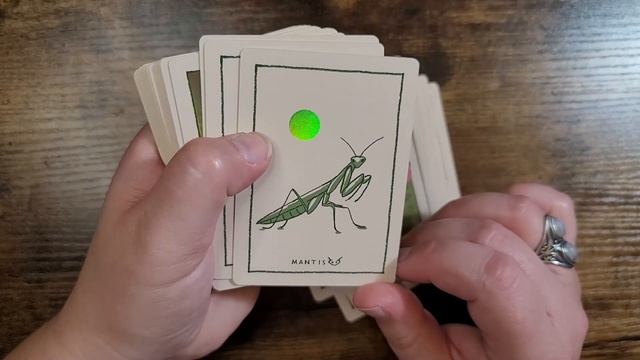 Green Glyphs Oracle | Flip Through and Review смотреть онлайн