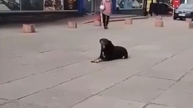 херсон.ложись.воздушная тревога. смотреть онлайн