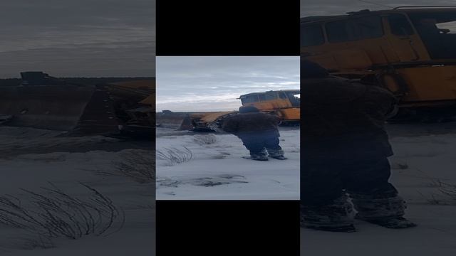 зима в этом году суровая в лесу смотреть онлайн