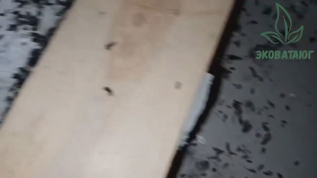 Кто-то в стекловате живёт смотреть онлайн