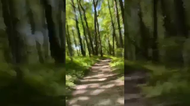 Как доехать до усадьбы Некрасова