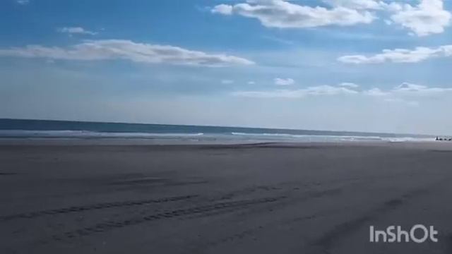 Лена Хеппи: Селим на связи 24/7. Родни фотографирует и смеётся. Дырка в полу.Поиск работы Lena Happ