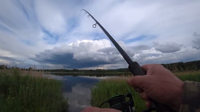 На Фидер Клюёт Всегда. Вечерний супер клёв. Поклёвки крупным планом. Рыбалка на фидер. смотреть онлайн