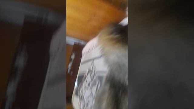 Сабачка смотреть онлайн