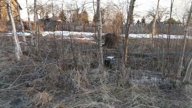 Пришла весна и мы снова на своем участке ) смотреть онлайн