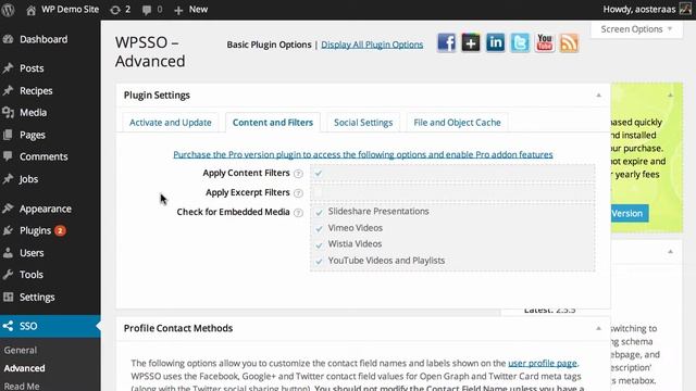 Configuring Advanced Plugin Settings in WordPress Social Sharing Optimization смотреть онлайн