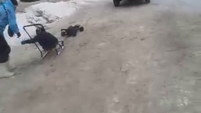 Rampage RC Pskov смотреть онлайн