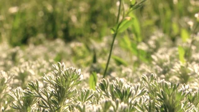 Є тільки радість (panasonic ag-ac160) смотреть онлайн