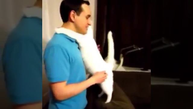 Животные. Любят. Людей смотреть онлайн