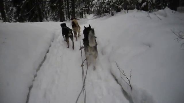 Нарты из пластика смотреть онлайн