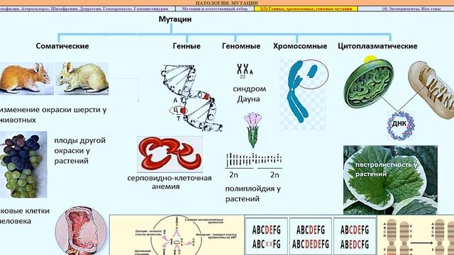 33 Мутации смотреть онлайн