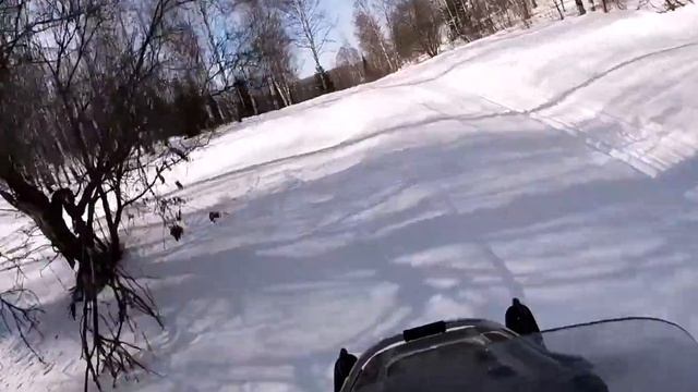 По тайге на YAMAHA VIKING! смотреть онлайн